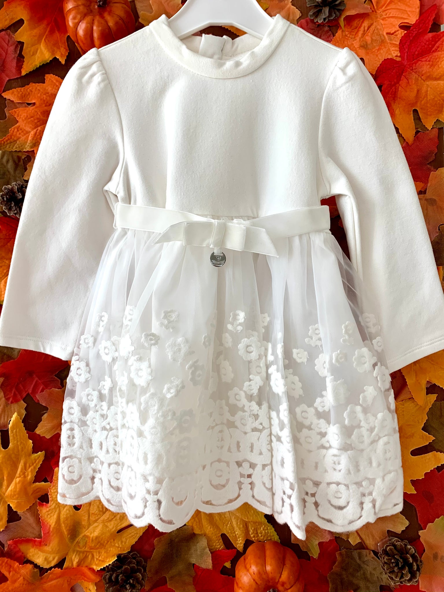 Long Sleeve Floral Lace Dress